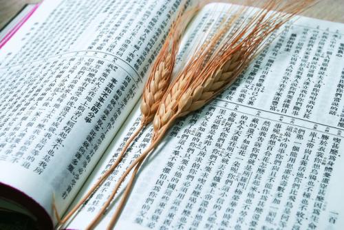 隨州成人高考報名時間是什么時候 哪些專業(yè)比較簡單呢?