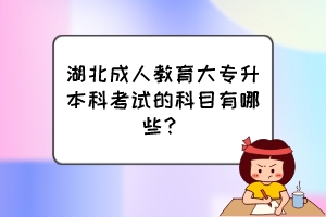 湖北成人教育大專升本科考試的科目有哪些？