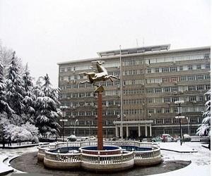 武漢理工大學(xué)成人高考專升本可以報(bào)考哪些專業(yè)？