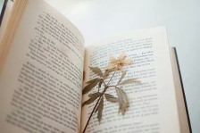湖北成教錯過報名時間如何補報?