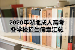 2020年湖北成考各學(xué)校招生簡章匯總