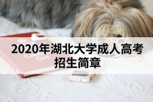 2020年湖北大學(xué)成人高考招生簡(jiǎn)章