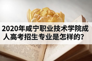 2020年咸寧職業(yè)技術(shù)學(xué)院成人高考招生專業(yè)