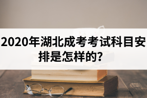 2020年湖北成考考試科目安排是怎樣的？?？坪捅究瓶荚嚳颇渴且粯拥膯幔?></a>
						<div   id=