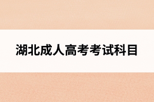 湖北成人高考考試科目一覽表