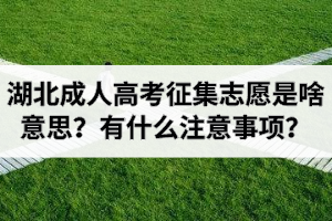 湖北成人高考征集志愿是啥意思？有什么注意事項(xiàng)？