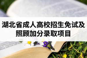 湖北省成人高校招生免試及照顧加分錄取項(xiàng)目