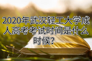 2020年武漢輕工大學成人高考考試時間是什么時候？