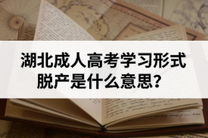 湖北成人高考脫產(chǎn)是什么意思？