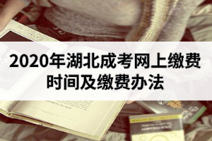 2020年湖北成考網(wǎng)上繳費(fèi)時間及繳費(fèi)辦法