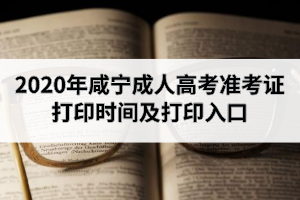 2020年咸寧成人高考準考證打印時間及打印入口