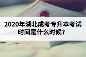 2020年湖北成考專升本考試時間是什么時候？