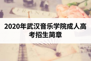 2020年武漢音樂學(xué)院成人高考招生簡(jiǎn)章