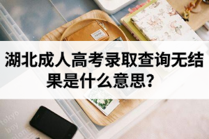 湖北成人高考錄取查詢無結(jié)果是什么意思？