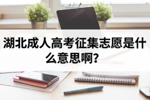湖北成人高考征集志愿是什么意思啊？