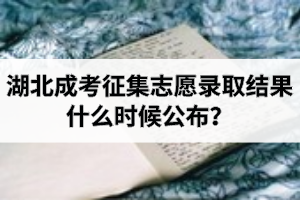 湖北成考征集志愿錄取結(jié)果什么時候公布？
