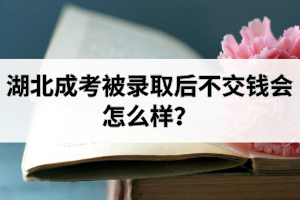 湖北成考被錄取后不交錢會(huì)怎么樣？