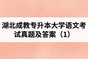 湖北成教專升本大學(xué)語文考試真題及答案（1）