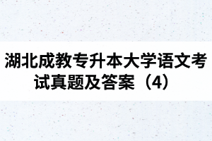 湖北成教專升本大學(xué)語文考試真題及答案（4）