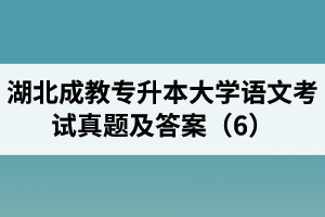 湖北成教專升本大學(xué)語(yǔ)文考試真題及答案（6）