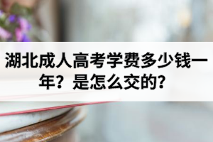 湖北成人高考學費多少錢一年？是怎么交的？