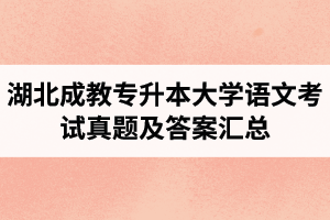 湖北成教專升本大學(xué)語(yǔ)文考試真題及答案匯總
