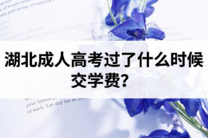 湖北成考繳費(fèi)方式是怎樣的?