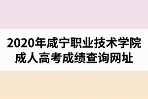 2020年咸寧職業(yè)技術學院成人高考成績查詢網址