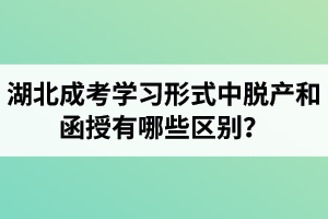 湖北成考學習形式中脫產(chǎn)和函授有哪些區(qū)別？