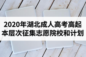 2020年湖北省成人高考高起本層次征集志愿院校和計劃