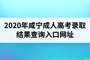 2020年咸寧成人高考錄取結(jié)果查詢(xún)?nèi)肟诰W(wǎng)址