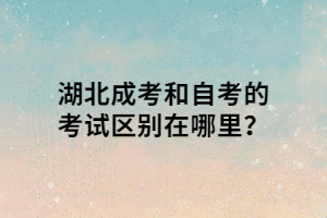 湖北成考和自考的考試區(qū)別在哪里？