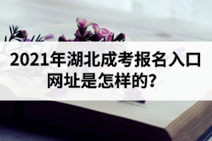 2021年湖北成考報名入口網(wǎng)址是怎樣的？