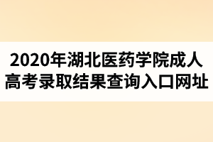 2020年湖北醫(yī)藥學(xué)院成人高考錄取結(jié)果查詢?nèi)肟诰W(wǎng)址