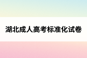 湖北成人高考標(biāo)準(zhǔn)化試卷