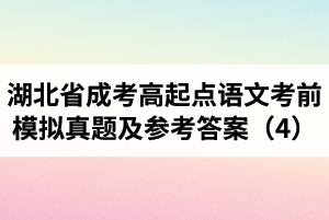 湖北省成考高起點(diǎn)語(yǔ)文考前模擬真題及參考答案（4） ? ?