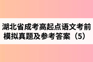 湖北省成人高考高起點(diǎn)語文考前模擬真題及參考答案（5）