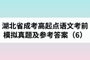 湖北省成人高考高起點語文考前模擬真題及參考答案（6）