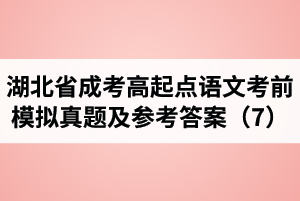 湖北省成人高考高起點語文考前模擬真題及參考答案（7）