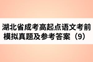 湖北省成人高考高起點(diǎn)語(yǔ)文考前模擬真題及參考答案（9）