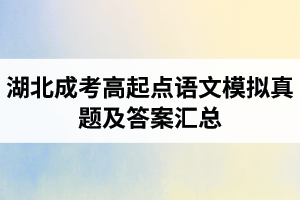 湖北成考高起點(diǎn)語(yǔ)文模擬真題及答案匯總