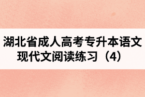 湖北省成人高考專升本語文現(xiàn)代文閱讀練習（4）