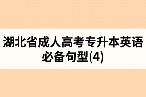 湖北省成人高考專升本英語必備句型(4)