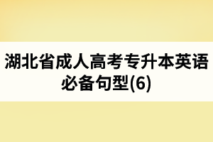 湖北省成人高考專升本英語必備句型(6)