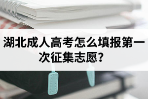 湖北成人高考怎么填報(bào)第一次征集志愿？