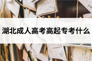 湖北成人高考高起專考什么？