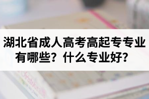 湖北省成人高考高起專專業(yè)有哪些？什么專業(yè)好？