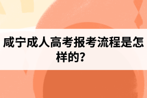 咸寧成人高考報考流程是怎樣的？