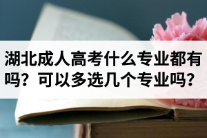 湖北省成人高考什么專業(yè)都有嗎？報(bào)名時(shí)可以多選幾個(gè)專業(yè)嗎？