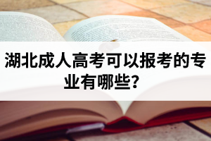 湖北成人高考可以報(bào)考的專業(yè)有哪些？